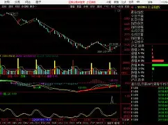 ayx-鞍山于大力于二力被捕